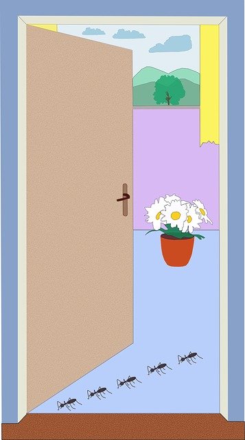 Free download Ants Door Flower - Free vector graphic on Pixabay free illustration to be edited with GIMP free online image editor