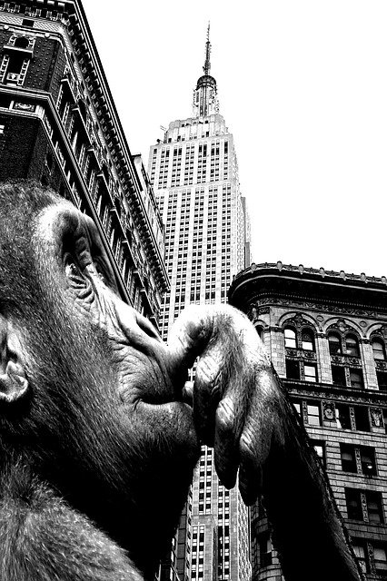 Free download Ape Building King Kong -  free illustration to be edited with GIMP free online image editor