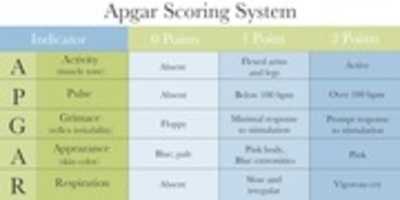 Free download Apgar Scoring System Diagnosing Birth Injuries free photo or picture to be edited with GIMP online image editor