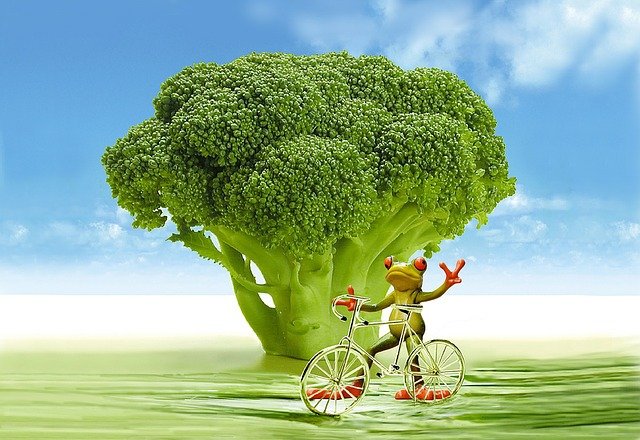 Free download appetite broccoli frog bicycle fun free picture to be edited with GIMP free online image editor