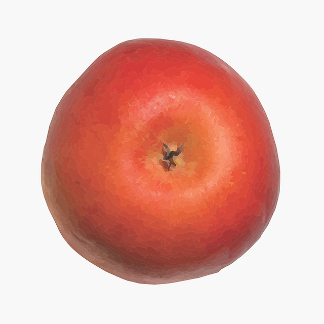 Download grátis Apple Fruit Model - Gráfico vetorial gratuito na ilustração gratuita Pixabay para ser editado com o editor de imagens online gratuito GIMP