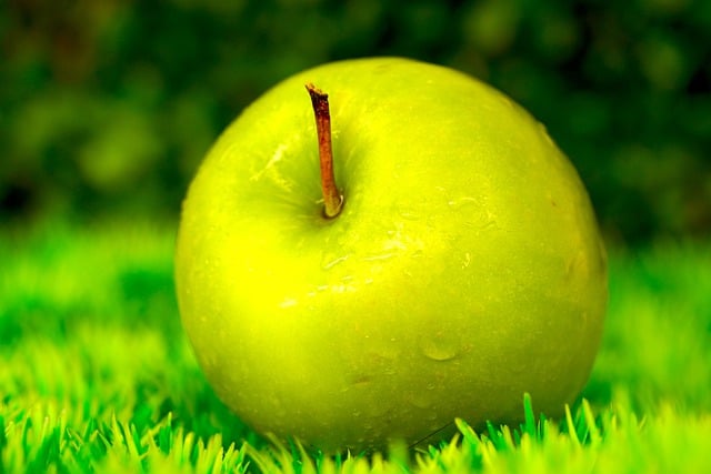 Free download apple green fruit organic free picture to be edited with GIMP free online image editor