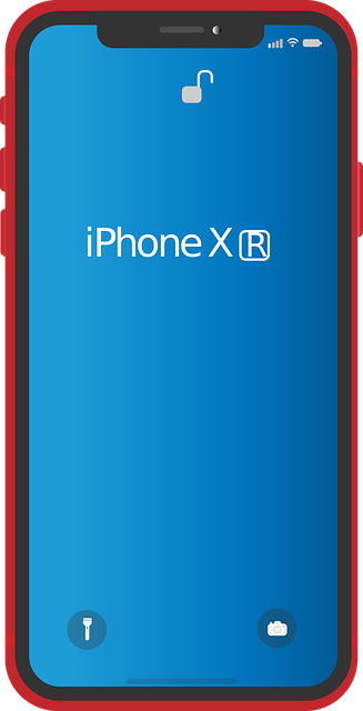 Free download Apple Iphone Xr Cell Phone Mobile - Free vector graphic on Pixabay free illustration to be edited with GIMP free online image editor