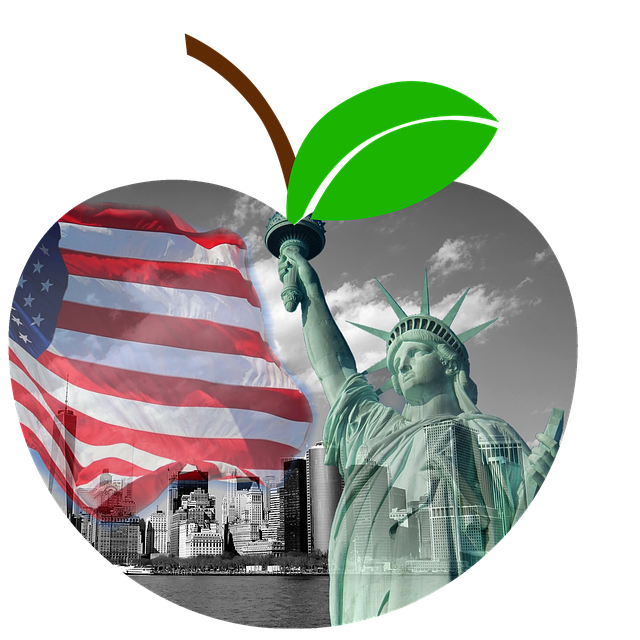Free download Apple New York Ny Manhattan The -  free illustration to be edited with GIMP free online image editor