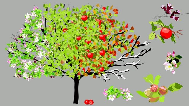 Free download Apple Tree Seasons -  free illustration to be edited with GIMP free online image editor