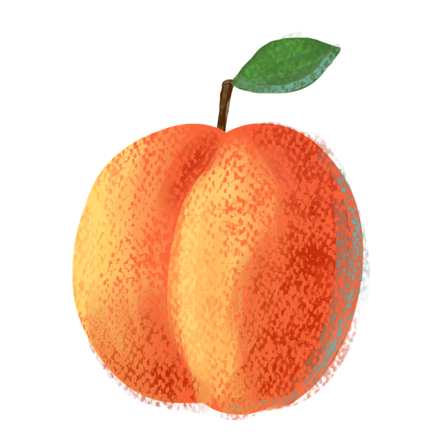 Free download Apricot Orange Yellow -  free illustration to be edited with GIMP free online image editor