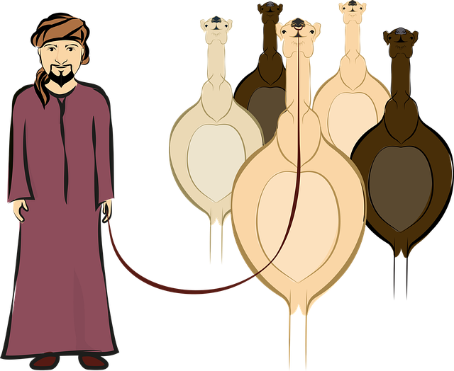 Free download Arab Man Camel Male - Free vector graphic on Pixabay free illustration to be edited with GIMP free online image editor