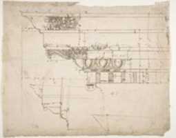 Free download Arco dei Pantani, Forum of Augustus, cornice, elevation; schematic elevation (recto) Temple of Apollo Sosiano, column base, elevation (verso) free photo or picture to be edited with GIMP online image editor