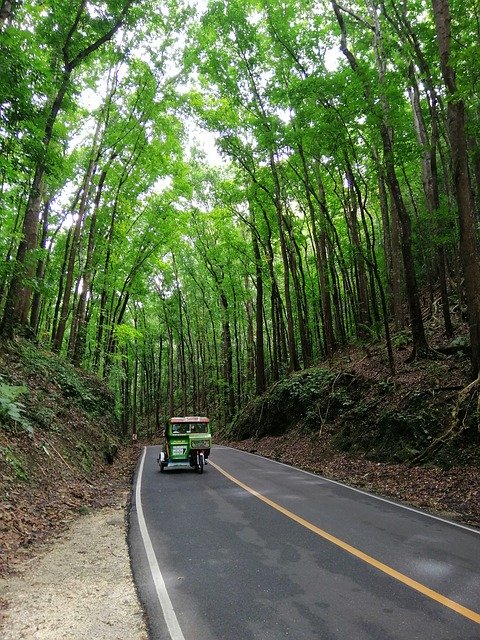 Free download Asia Philippines Bohol Made -  free photo or picture to be edited with GIMP online image editor