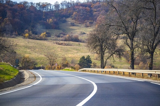 Free download asphalt asphalt road road autumn free picture to be edited with GIMP free online image editor