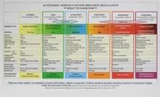 Free download Autonomic Nervous System Table by Babette Rothschild free photo or picture to be edited with GIMP online image editor