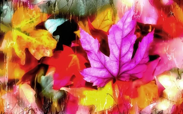 Free download Autumn Colors Leaves Painting -  free illustration to be edited with GIMP free online image editor