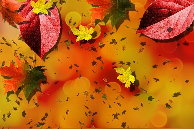 Free download Autumn Fall Background -  free illustration to be edited with GIMP free online image editor