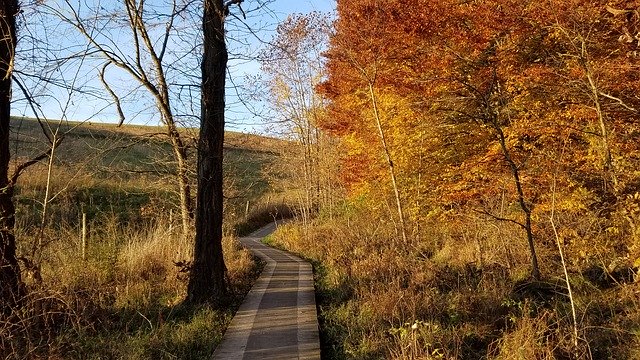 Free download Autumn Fall Boardwalk -  free photo or picture to be edited with GIMP online image editor