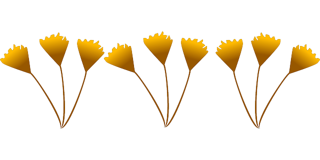 Free download Autumn Fall Flowers - Free vector graphic on Pixabay free illustration to be edited with GIMP free online image editor