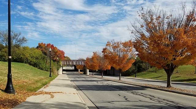 Free download Autumn Fall Road -  free photo or picture to be edited with GIMP online image editor