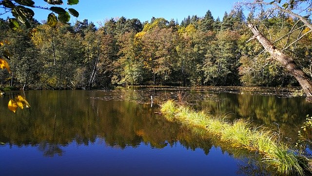 Free download Autumn Forest Lake -  free photo or picture to be edited with GIMP online image editor