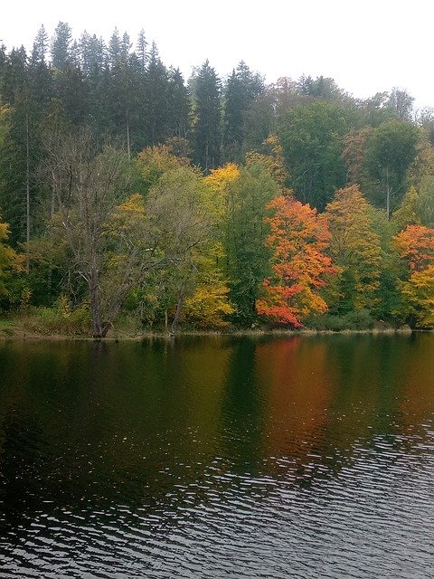 Free download Autumn Forest Thuringia Germany -  free photo or picture to be edited with GIMP online image editor