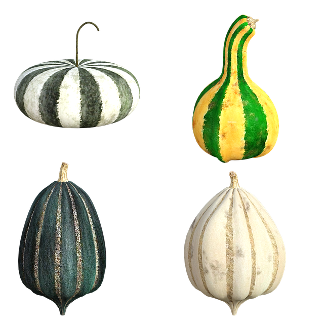 Free download Autumn Gourds Colorful Fall -  free illustration to be edited with GIMP free online image editor