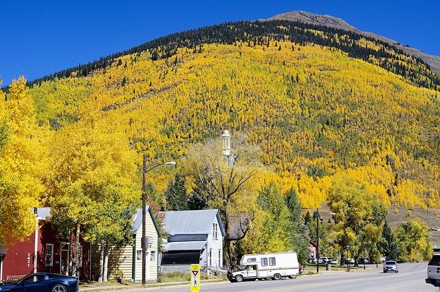 Free download Autumn In Silverton Aspens -  free photo or picture to be edited with GIMP online image editor