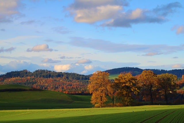 Free download autumn landscape trees autumn colors free picture to be edited with GIMP free online image editor