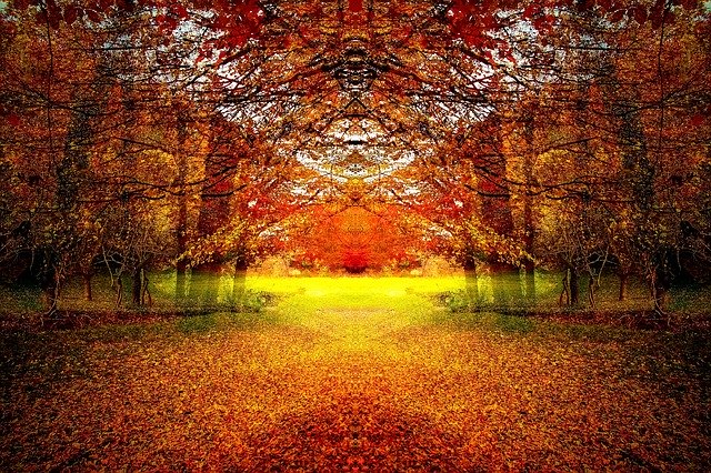 Free download Autumn Landscape Wood Forest -  free illustration to be edited with GIMP free online image editor