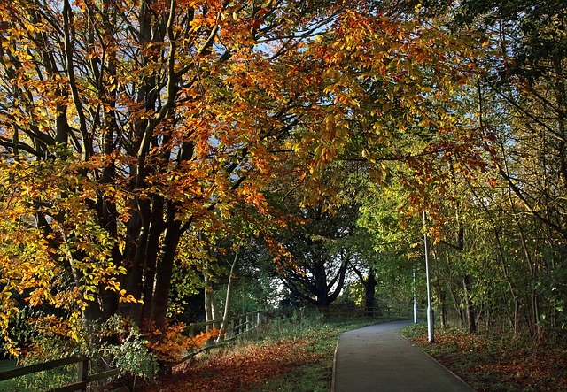 Free download Autumn Leaves England -  free free photo or picture to be edited with GIMP online image editor