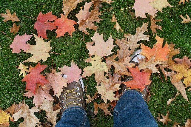 Free download Autumn Leaves Shoes -  free photo or picture to be edited with GIMP online image editor