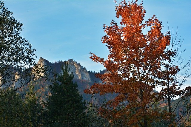 Kostenloser Download der kostenlosen Herbst-Berglandschaft-Fotovorlage, die mit dem GIMP-Online-Bildeditor bearbeitet werden kann