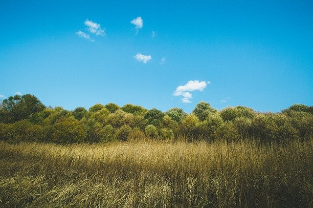 Free download Autumn Natural Minimalist Blue -  free photo or picture to be edited with GIMP online image editor