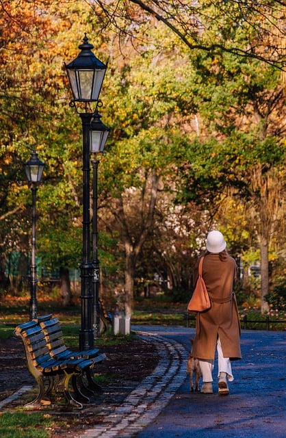 Free download autumn park woman walk walking free picture to be edited with GIMP free online image editor