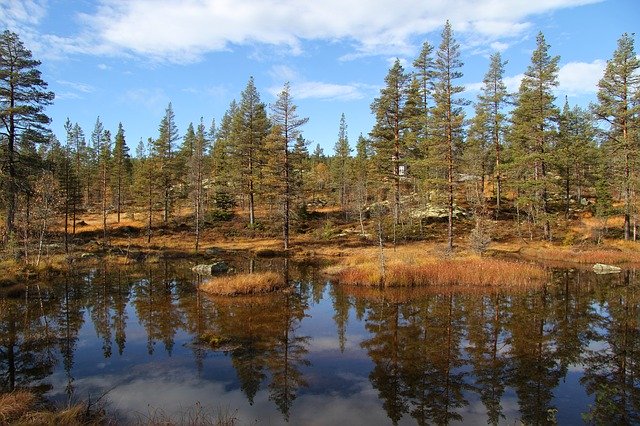 Free download Autumn Telemark Norway Tindefjell -  free photo or picture to be edited with GIMP online image editor