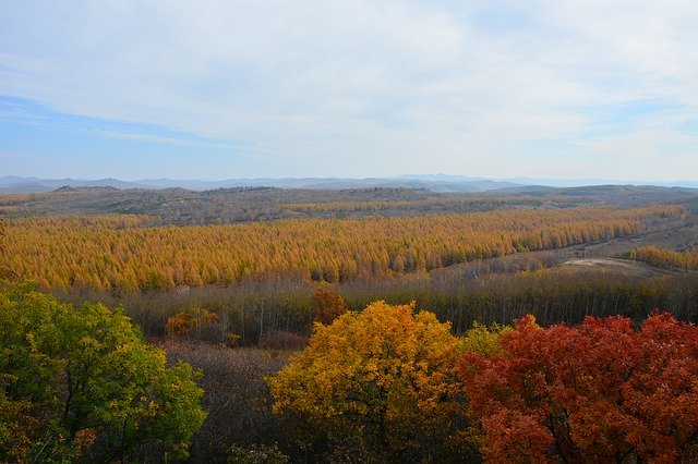 Free download Autumn Yellow Mountain -  free photo or picture to be edited with GIMP online image editor