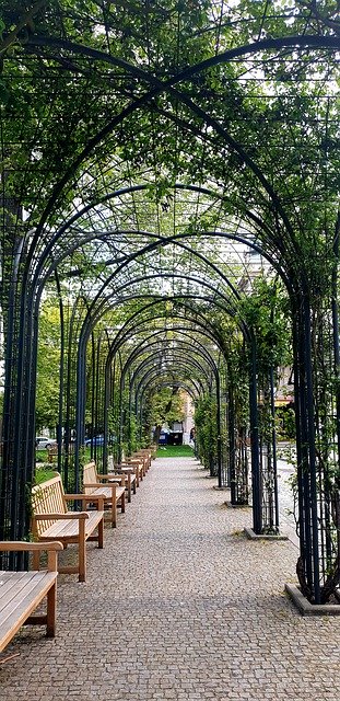 Free download Avenue Trees Benches -  free photo or picture to be edited with GIMP online image editor