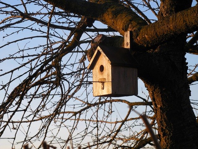Free download Aviary Bird House -  free photo or picture to be edited with GIMP online image editor