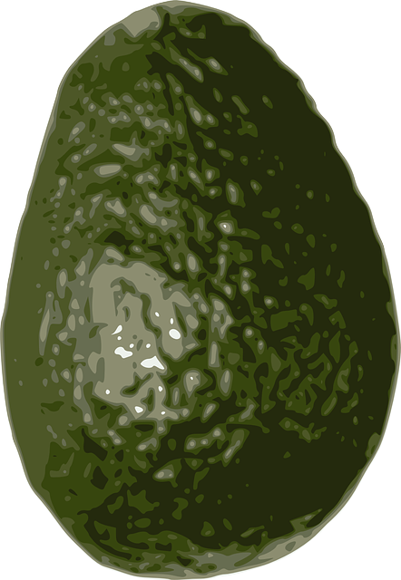 Free download Avocado Fruit Tropical - Free vector graphic on Pixabay free illustration to be edited with GIMP free online image editor