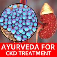 Free download Ayurveda For CKD Treatment free photo or picture to be edited with GIMP online image editor