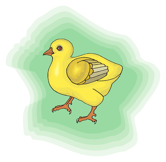 Free download Baby Bird Yellow - Free vector graphic on Pixabay free illustration to be edited with GIMP free online image editor