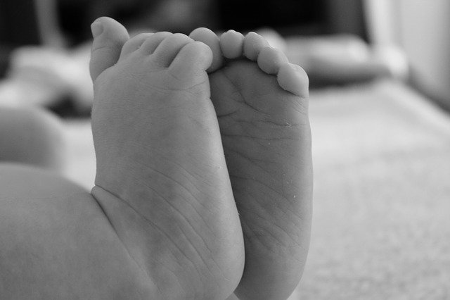 Free download Baby Feet Newborn -  free photo or picture to be edited with GIMP online image editor