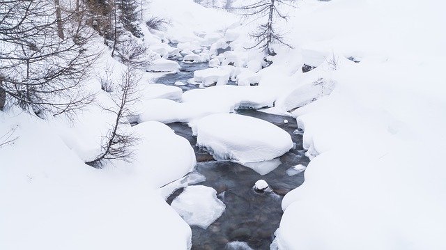 Bach Snow Forest を無料でダウンロード - GIMP オンライン画像エディタで編集できる無料の写真や画像