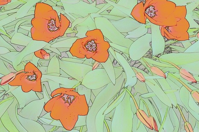 Free download Background Tulips Design -  free illustration to be edited with GIMP free online image editor