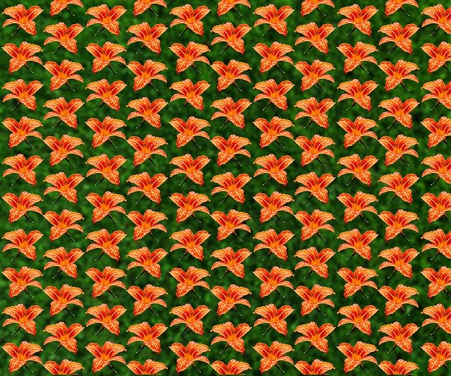 Free download Background Wallpaper Flowers -  free illustration to be edited with GIMP free online image editor