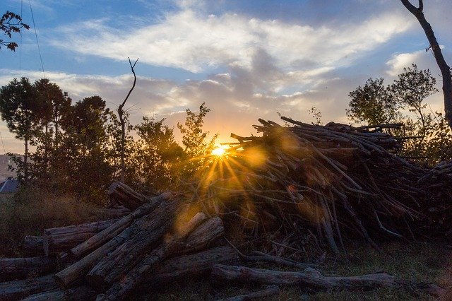 Free download Backlit Landscape Woods -  free photo or picture to be edited with GIMP online image editor