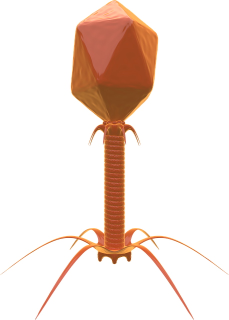 Free download Bacteriophage Virus Bacteria -  free illustration to be edited with GIMP free online image editor