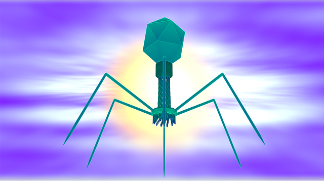 Free download Bacteriophage Virus Biology -  free illustration to be edited with GIMP free online image editor