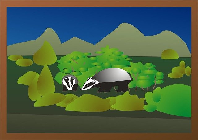 Free download Badger Nature Landscape -  free illustration to be edited with GIMP free online image editor