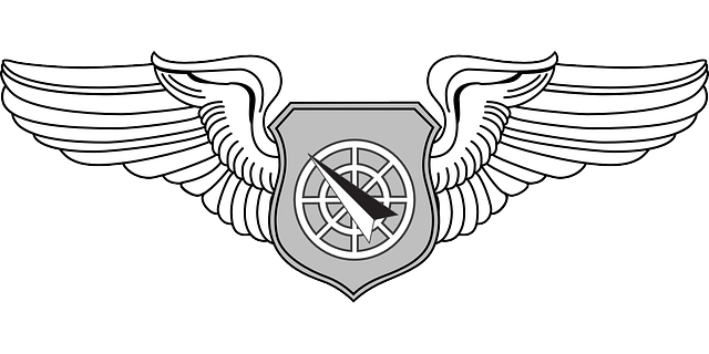 Free download Badge Usaf Insignia - Free vector graphic on Pixabay free illustration to be edited with GIMP free online image editor