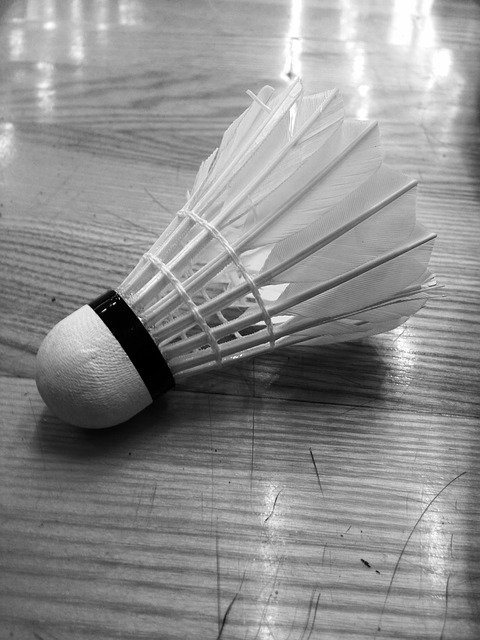 Free download Badminton Ball Shutlecock -  free photo or picture to be edited with GIMP online image editor