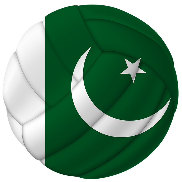 Free download Ball Pakistan Basketball -  free illustration to be edited with GIMP free online image editor