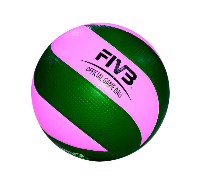 Free download Ball Volleyball Sports Team -  free illustration to be edited with GIMP free online image editor
